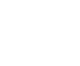 association_camelot